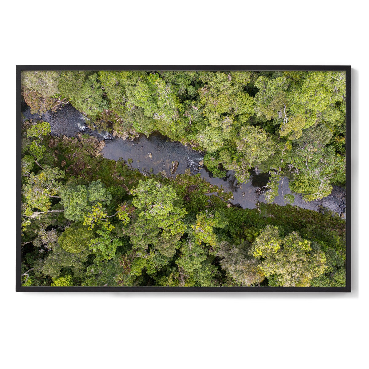 Windin Creek in the Rainforest #2 - Framed Print