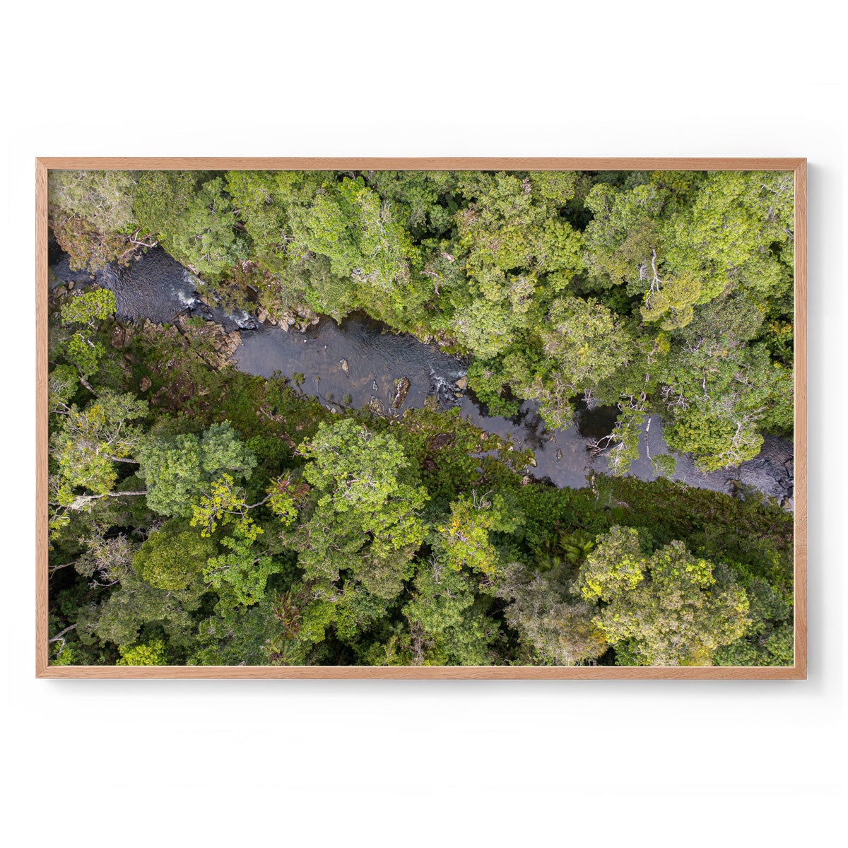 Windin Creek in the Rainforest #2 - Framed Print