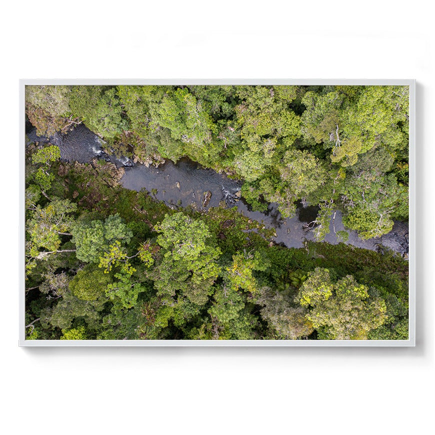 Windin Creek in the Rainforest #2 - Framed Print