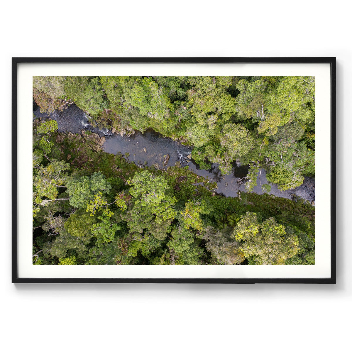 Windin Creek in the Rainforest #2 - Framed Print