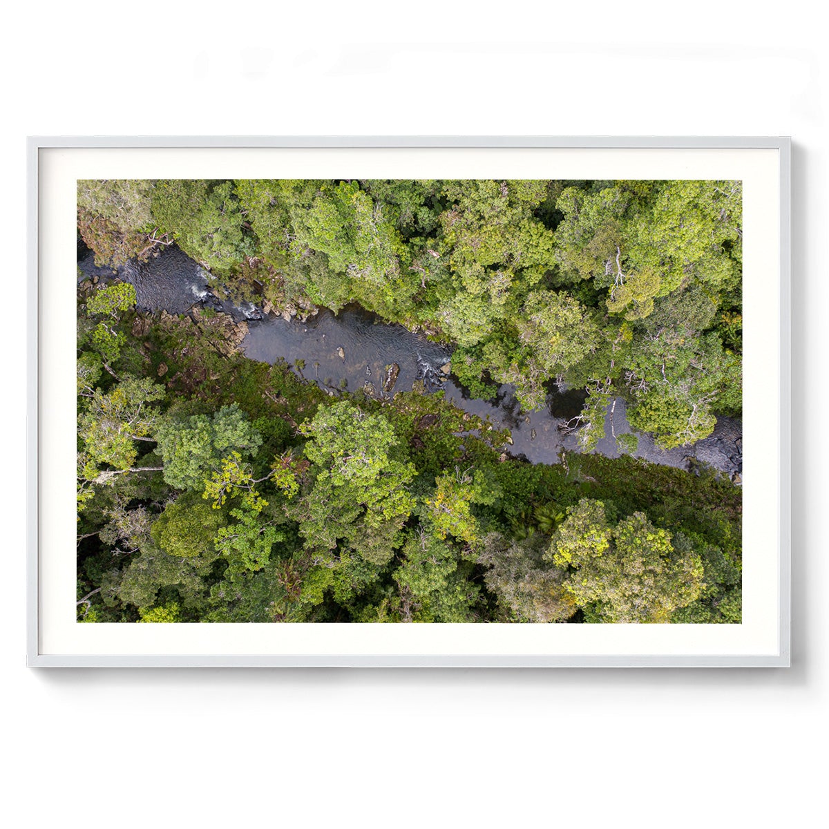 Windin Creek in the Rainforest #2 - Framed Print