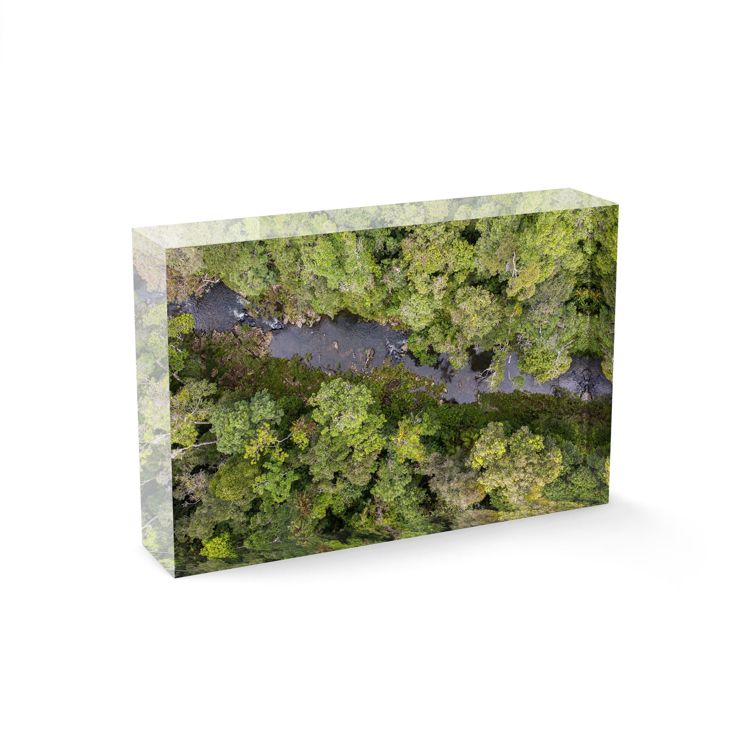 Windin Creek in the Rainforest #2 - Acrylic ICE Block