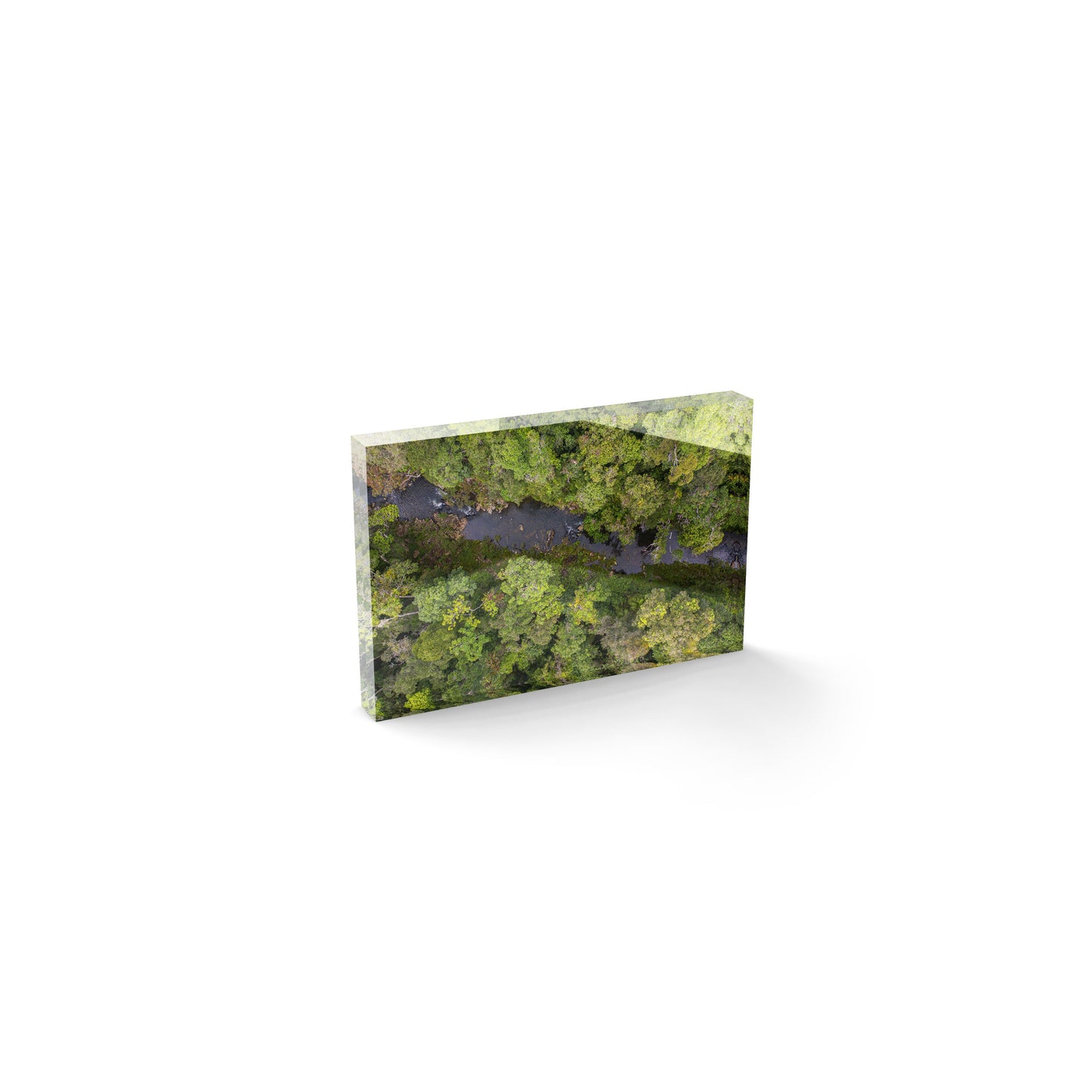 Windin Creek in the Rainforest #2 - Acrylic ICE Block