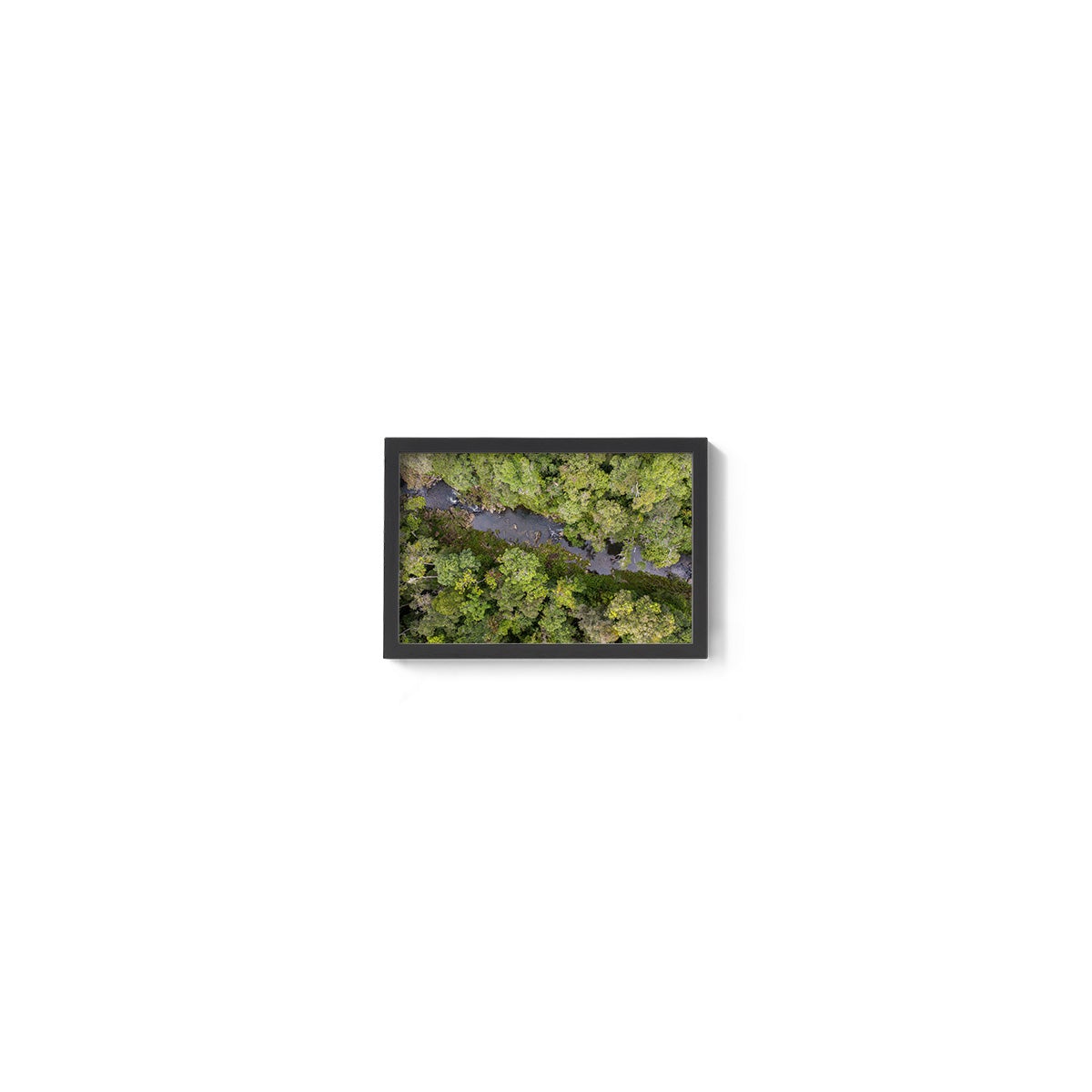 Windin Creek in the Rainforest #2 - Framed Print