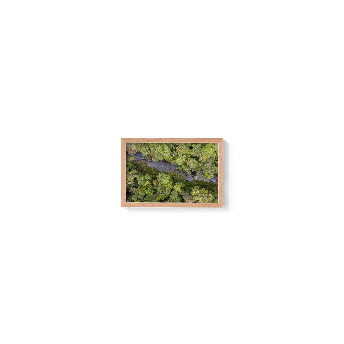 Windin Creek in the Rainforest #2 - Framed Print