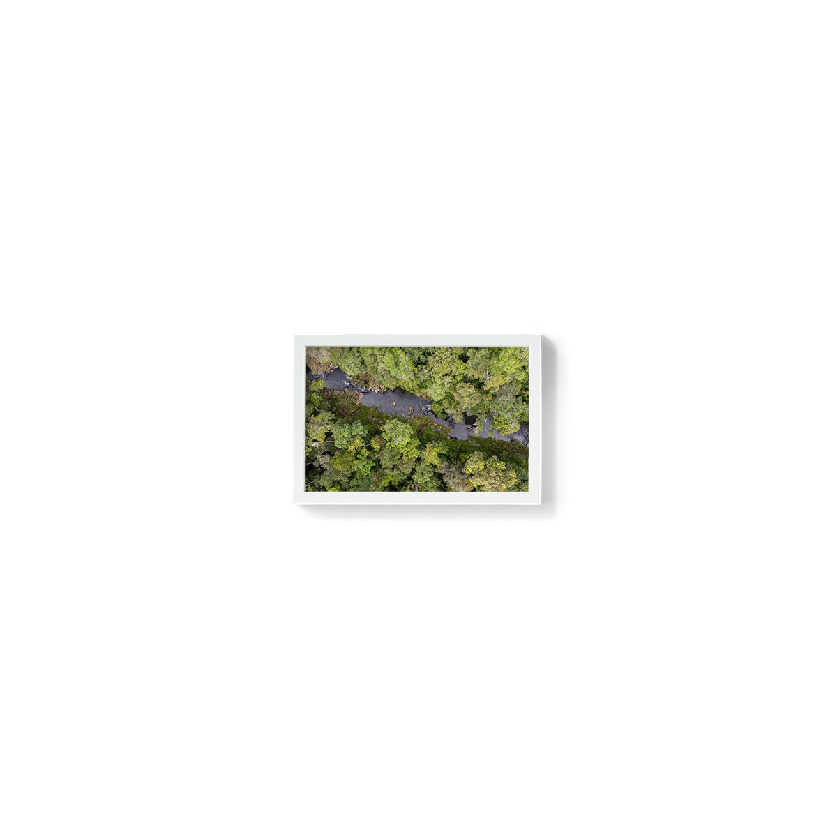 Windin Creek in the Rainforest #2 - Framed Print