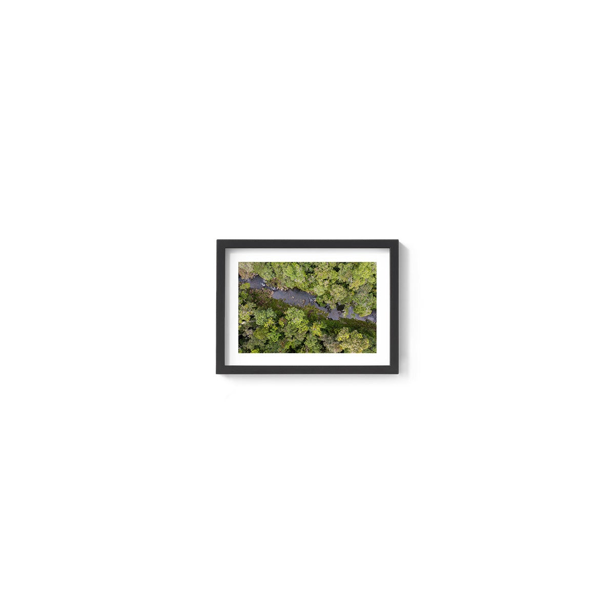Windin Creek in the Rainforest #2 - Framed Print