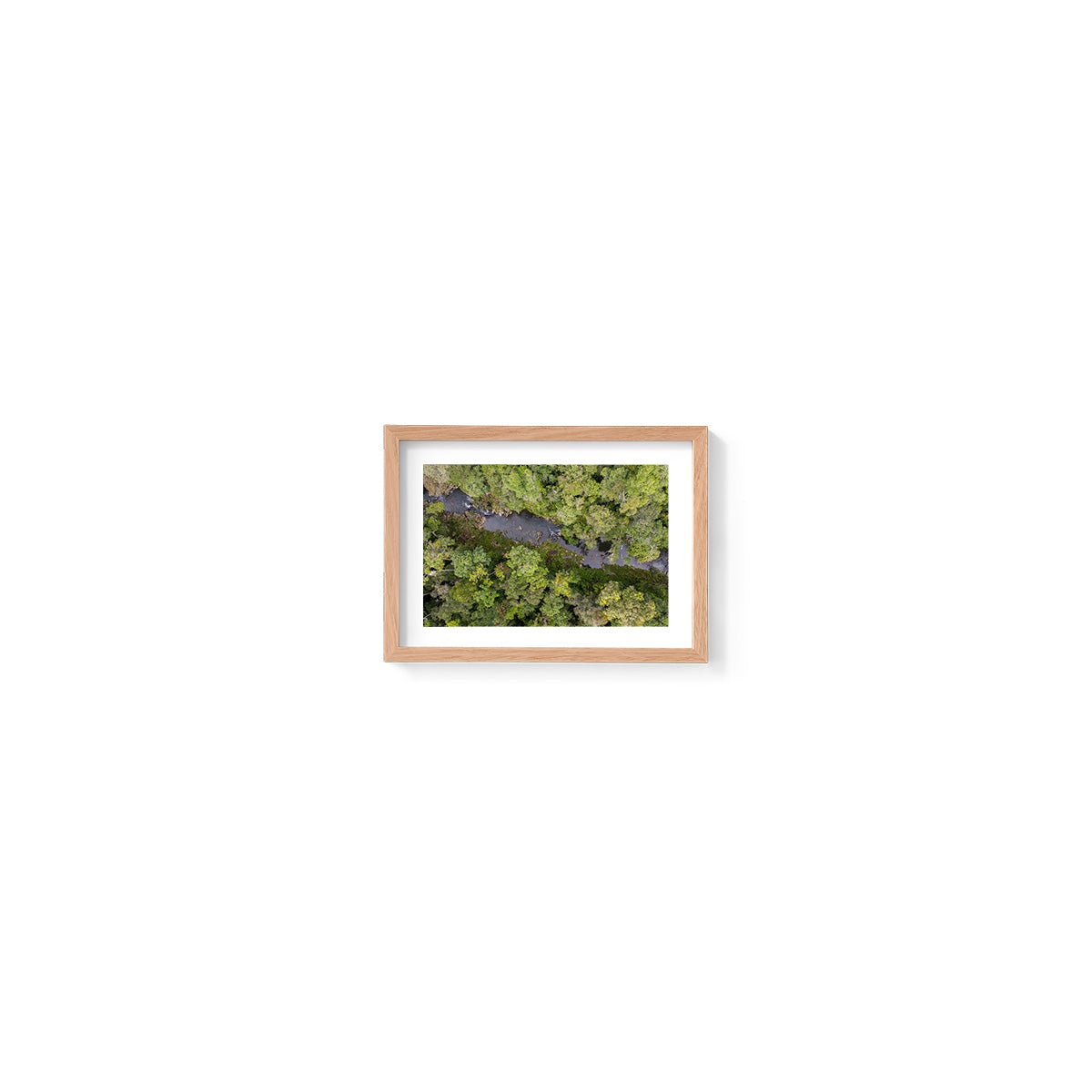 Windin Creek in the Rainforest #2 - Framed Print