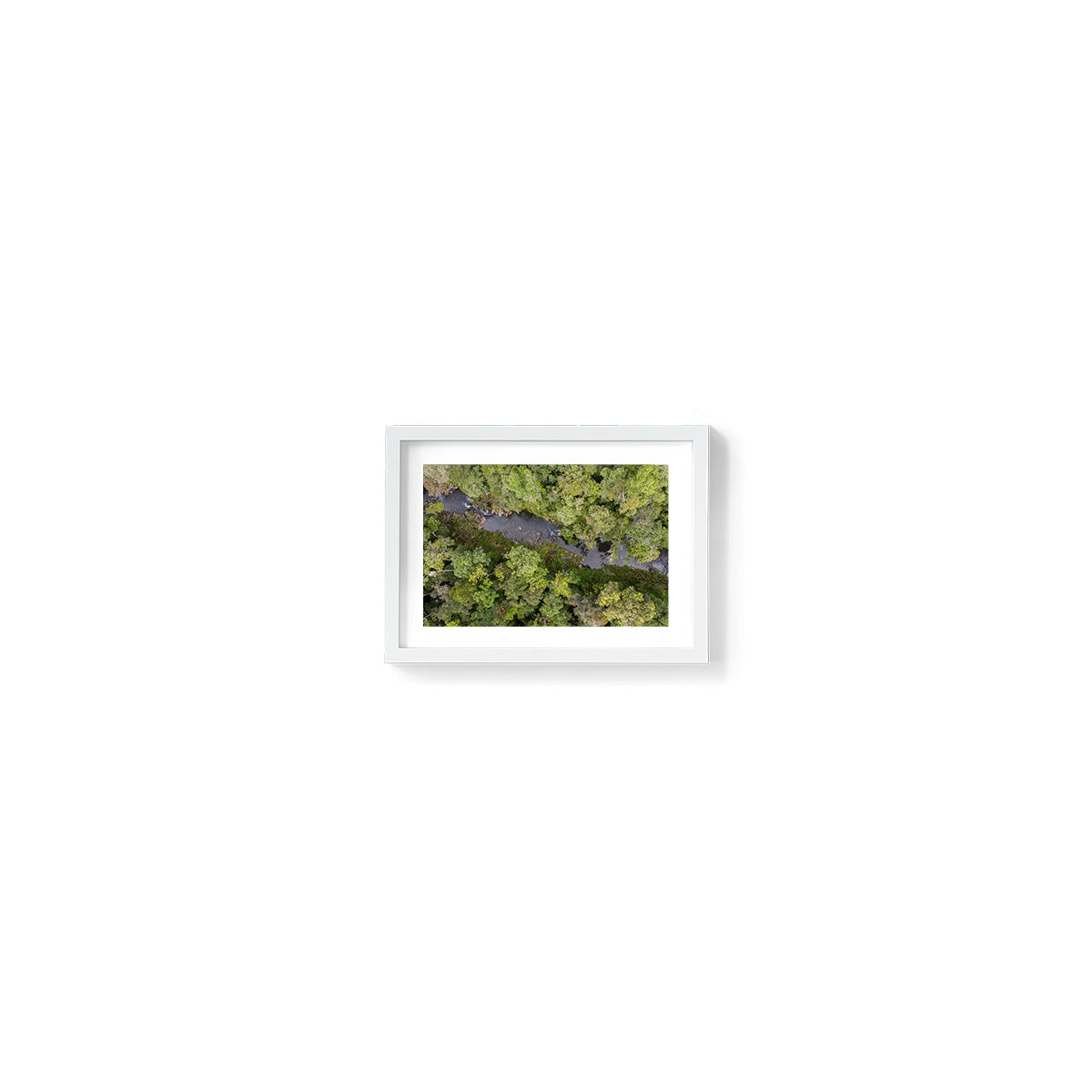 Windin Creek in the Rainforest #2 - Framed Print