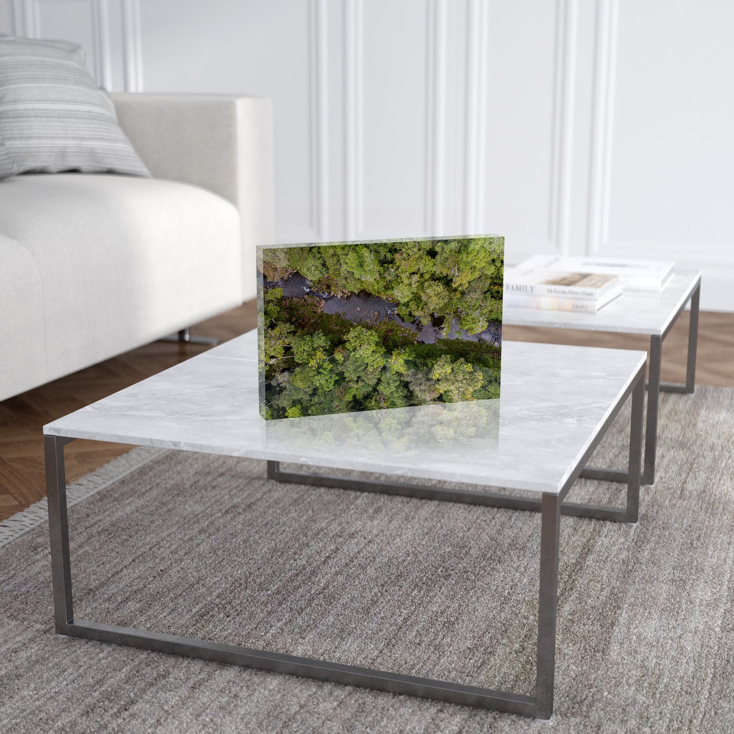 Windin Creek in the Rainforest #2 - Acrylic ICE Block