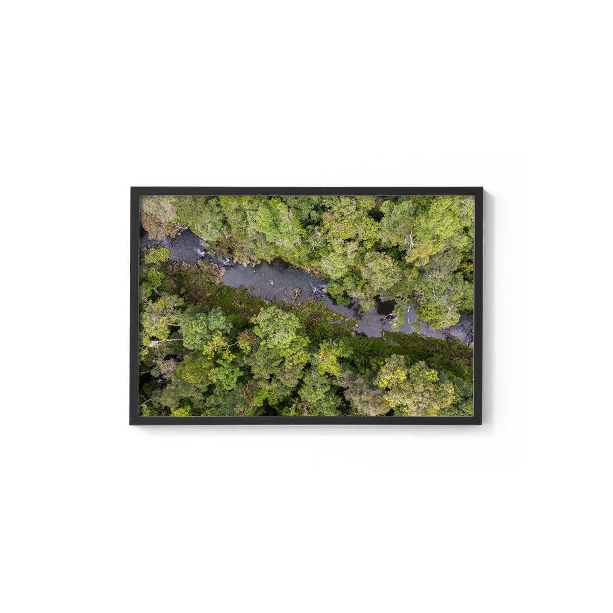 Windin Creek in the Rainforest #2 - Framed Print