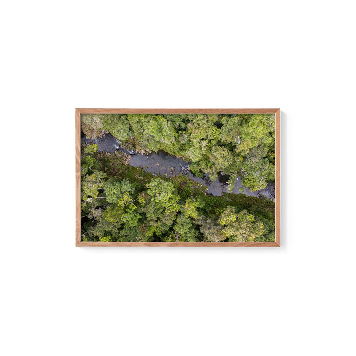 Windin Creek in the Rainforest #2 - Framed Print