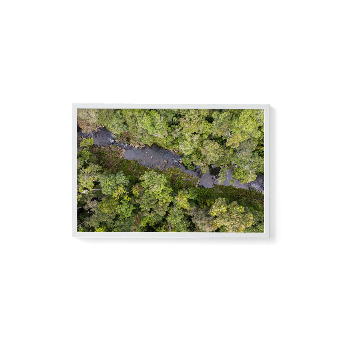 Windin Creek in the Rainforest #2 - Framed Print