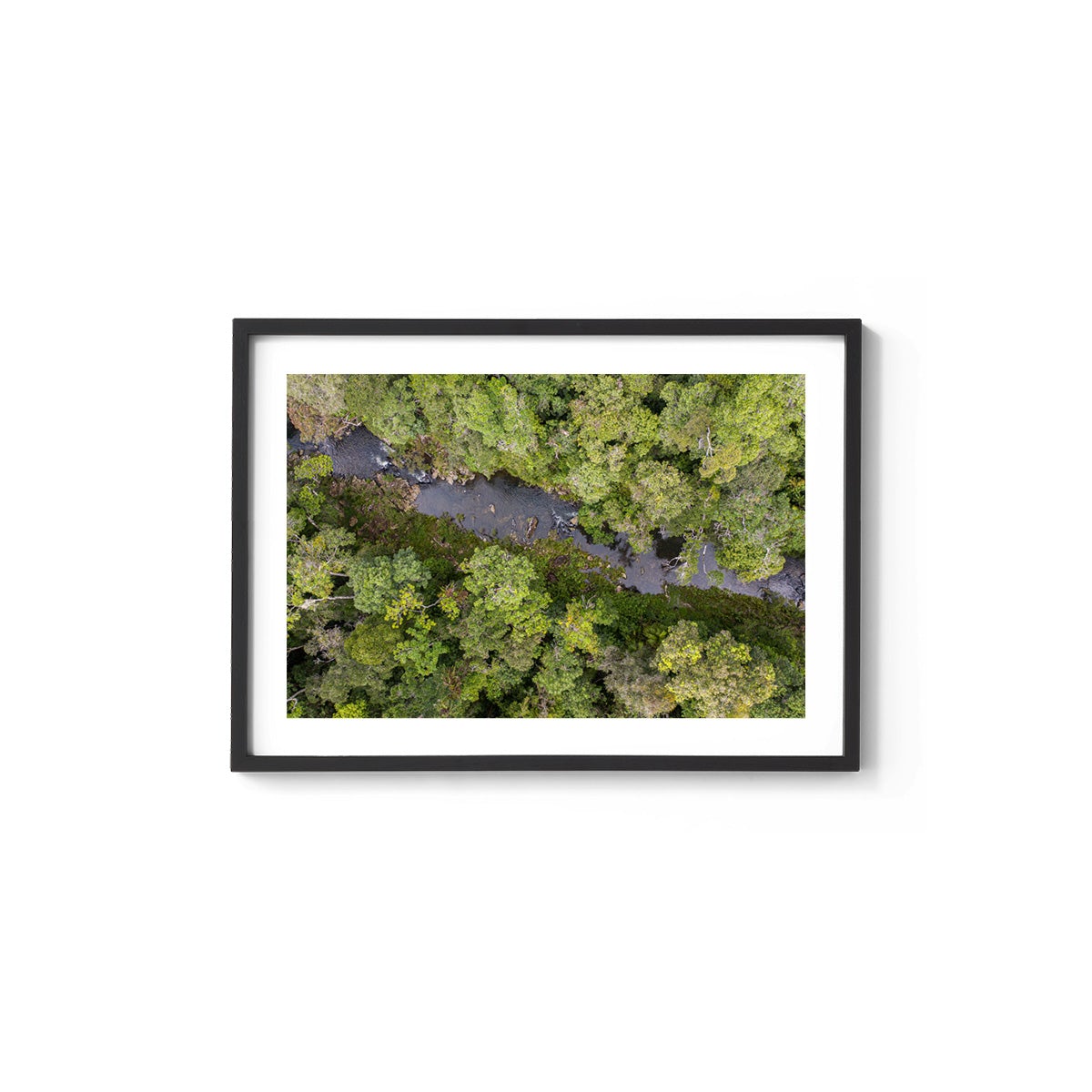 Windin Creek in the Rainforest #2 - Framed Print