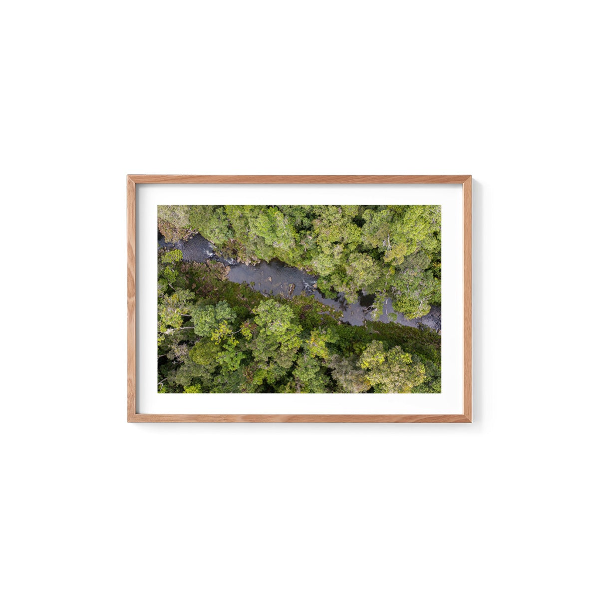 Windin Creek in the Rainforest #2 - Framed Print