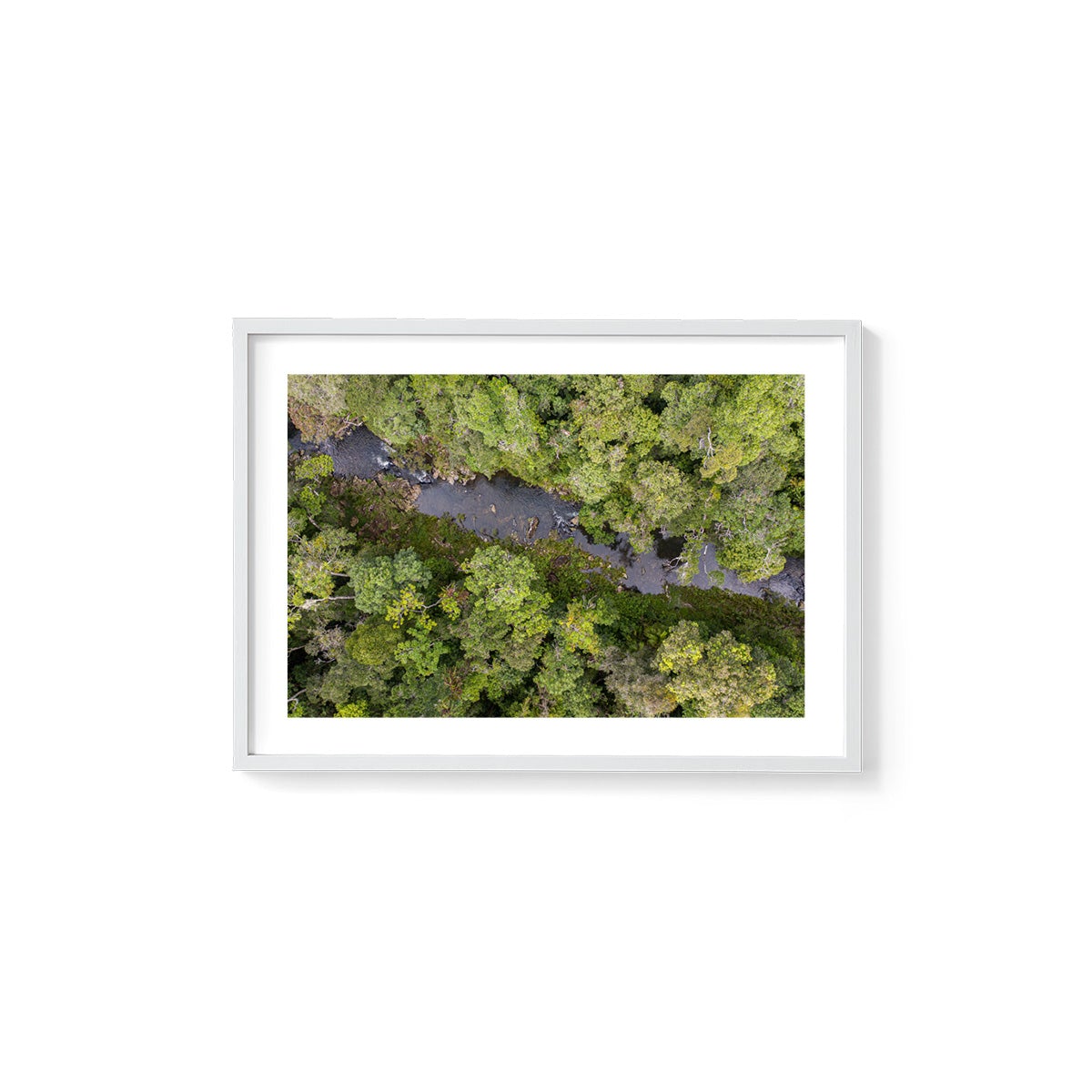 Windin Creek in the Rainforest #2 - Framed Print