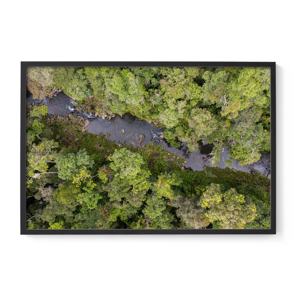 Windin Creek in the Rainforest #2 - Framed Print