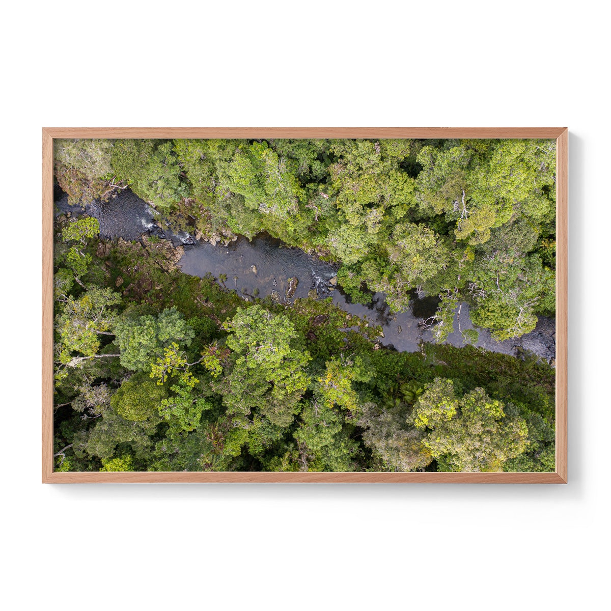 Windin Creek in the Rainforest #2 - Framed Print
