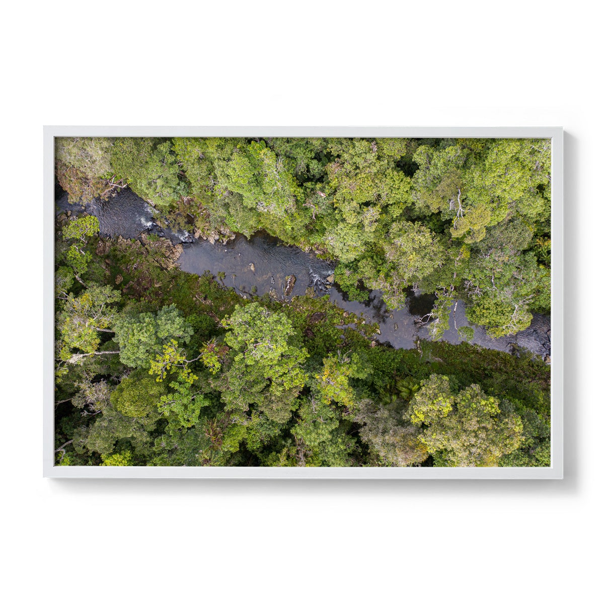 Windin Creek in the Rainforest #2 - Framed Print