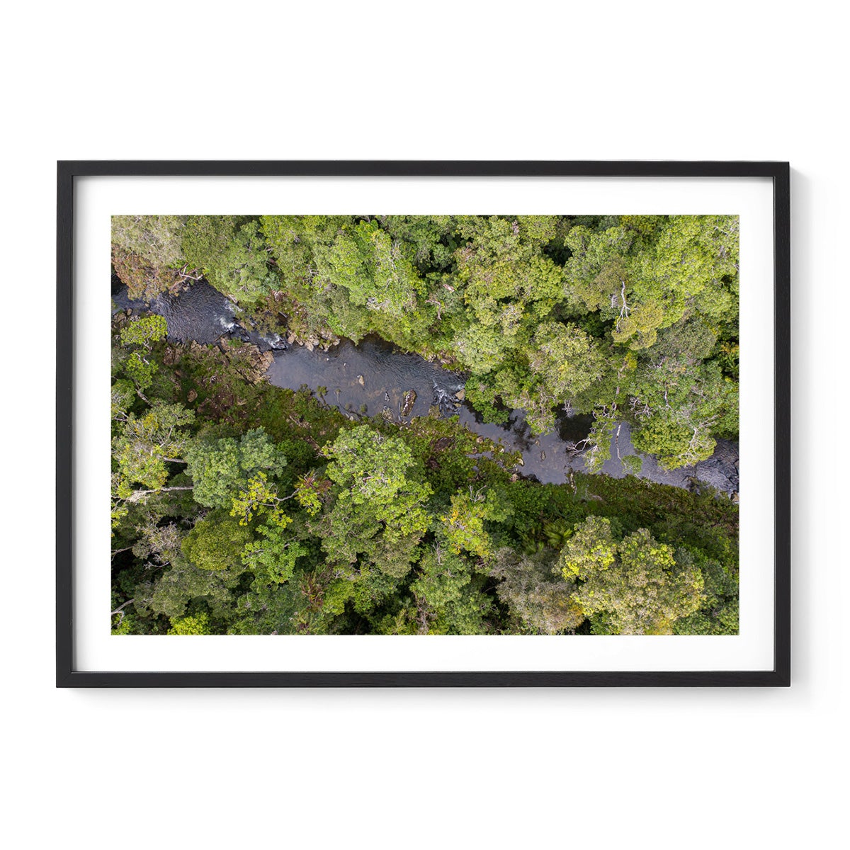 Windin Creek in the Rainforest #2 - Framed Print