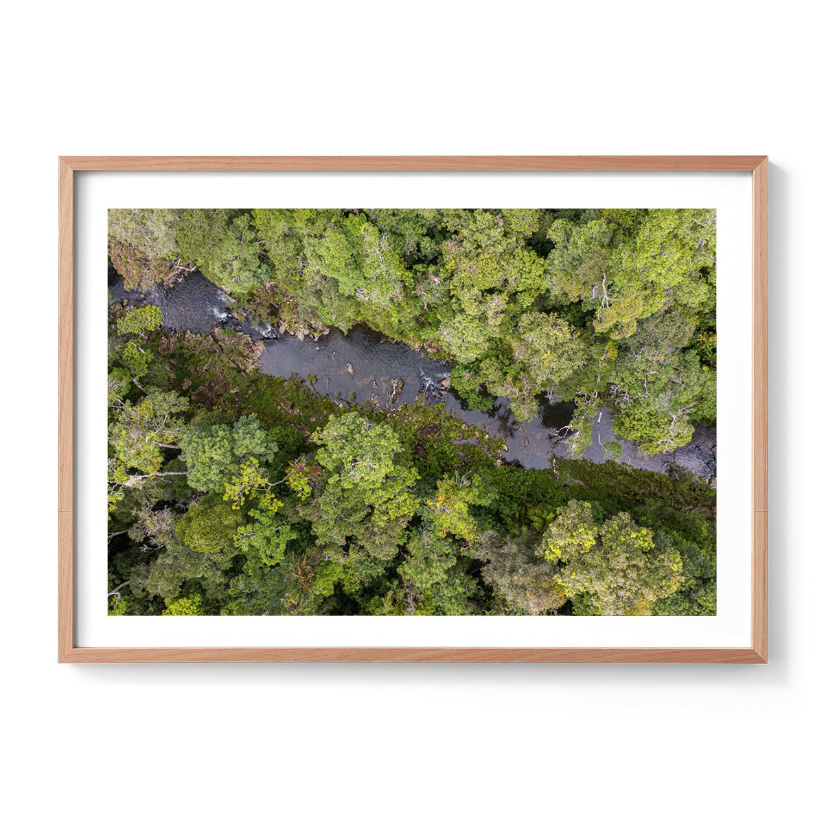 Windin Creek in the Rainforest #2 - Framed Print