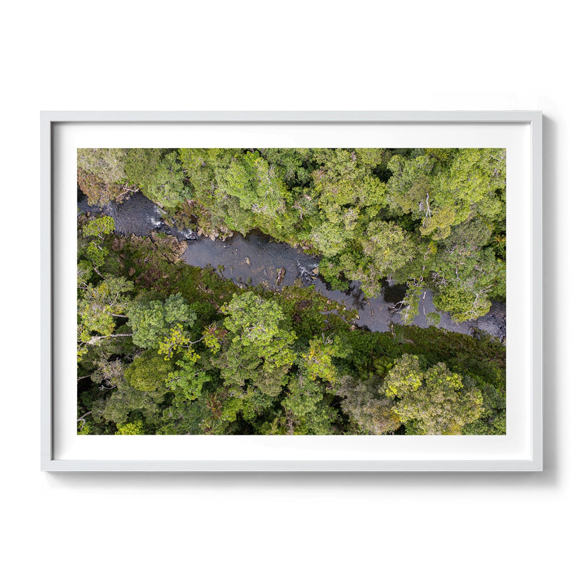 Windin Creek in the Rainforest #2 - Framed Print