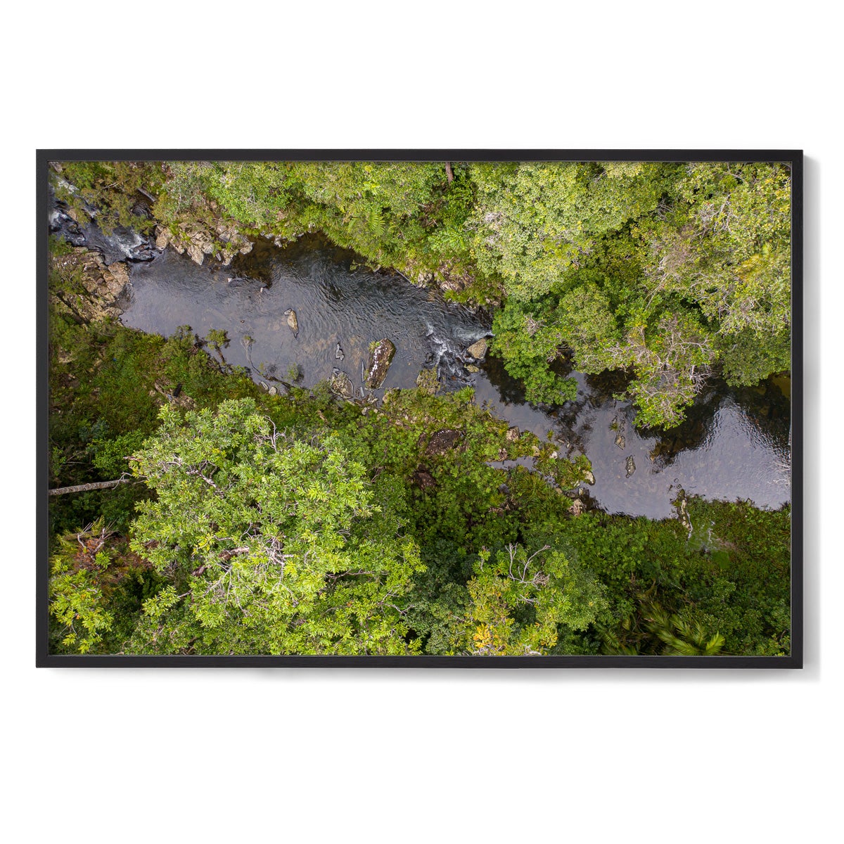 Windin Creek in the Rainforest #1 - Framed Print