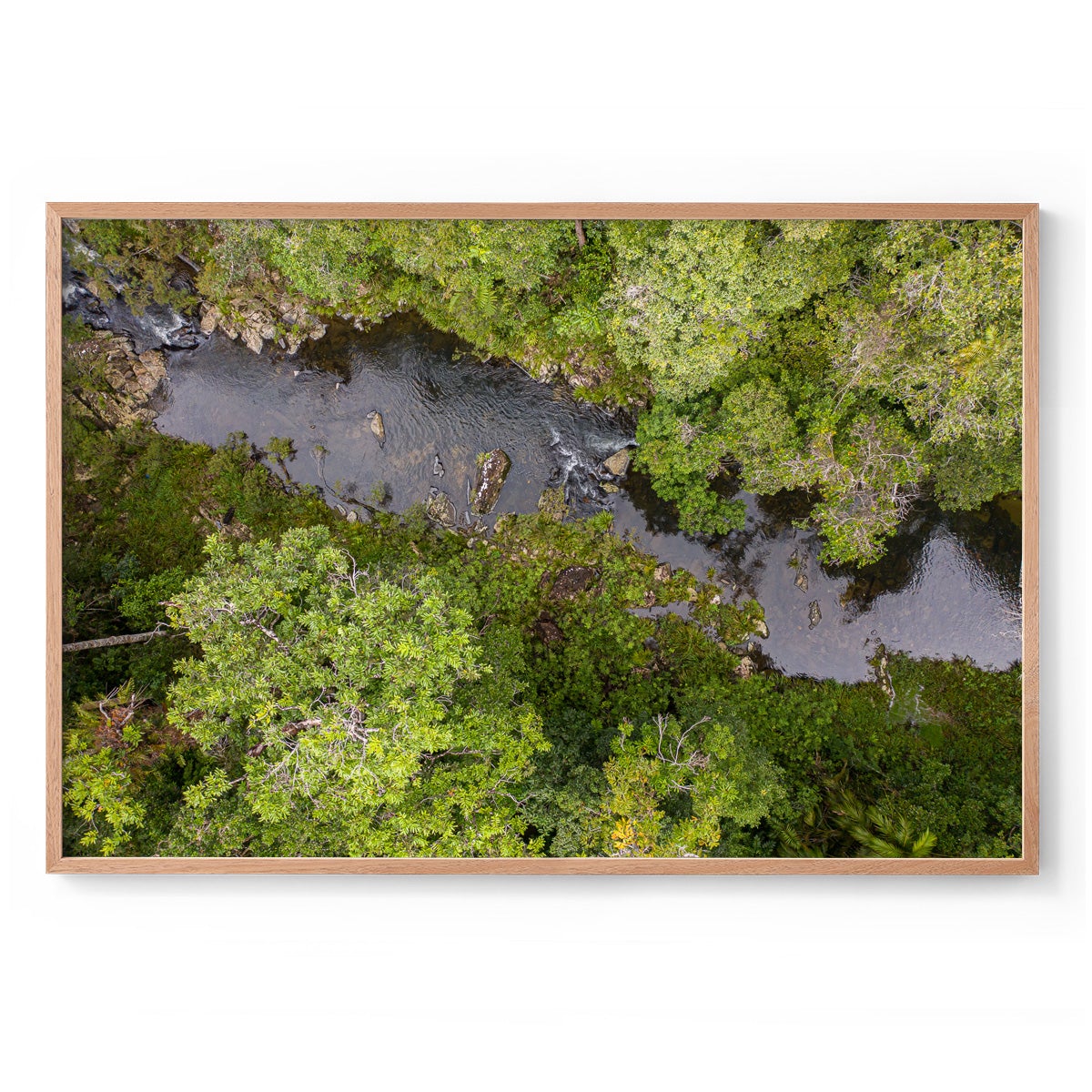 Windin Creek in the Rainforest #1 - Framed Print