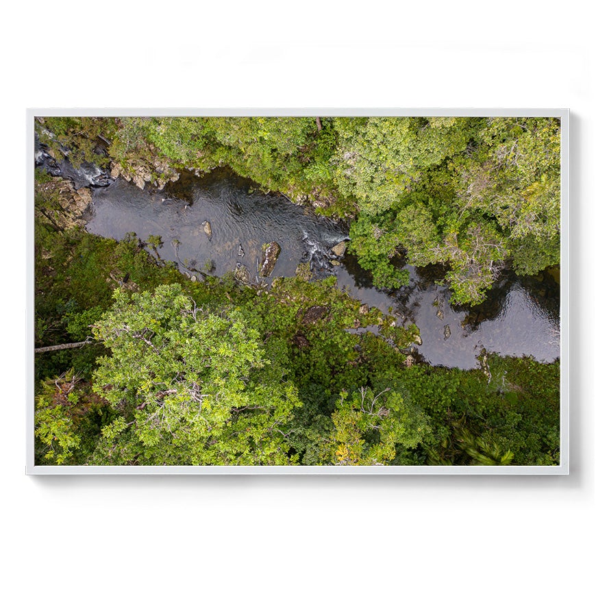 Windin Creek in the Rainforest #1 - Framed Print