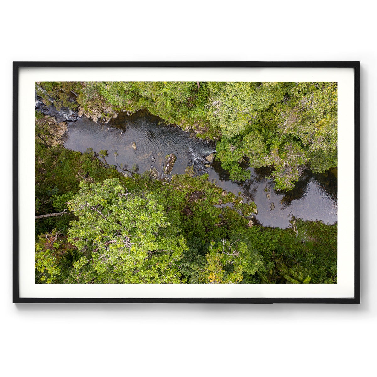 Windin Creek in the Rainforest #1 - Framed Print