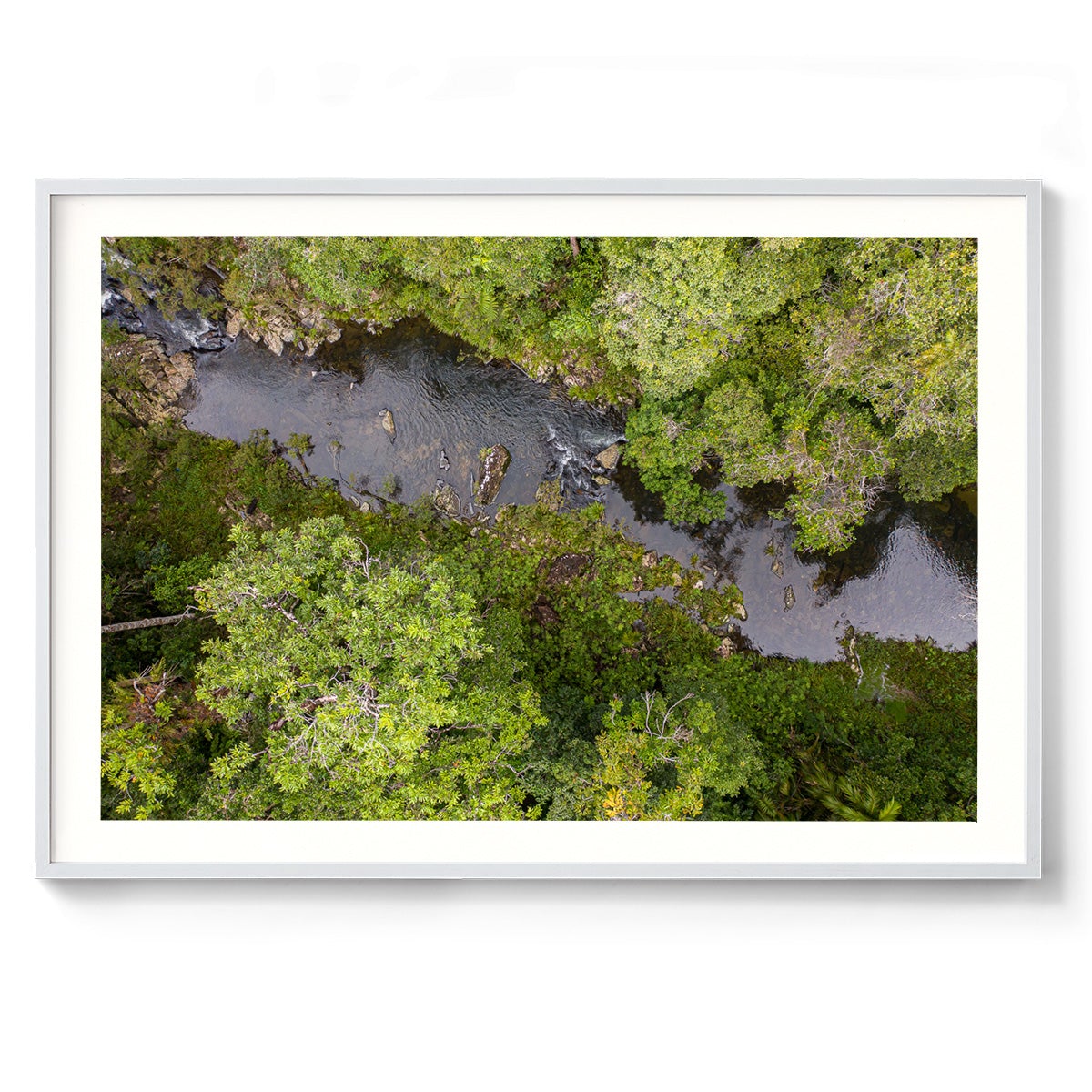 Windin Creek in the Rainforest #1 - Framed Print