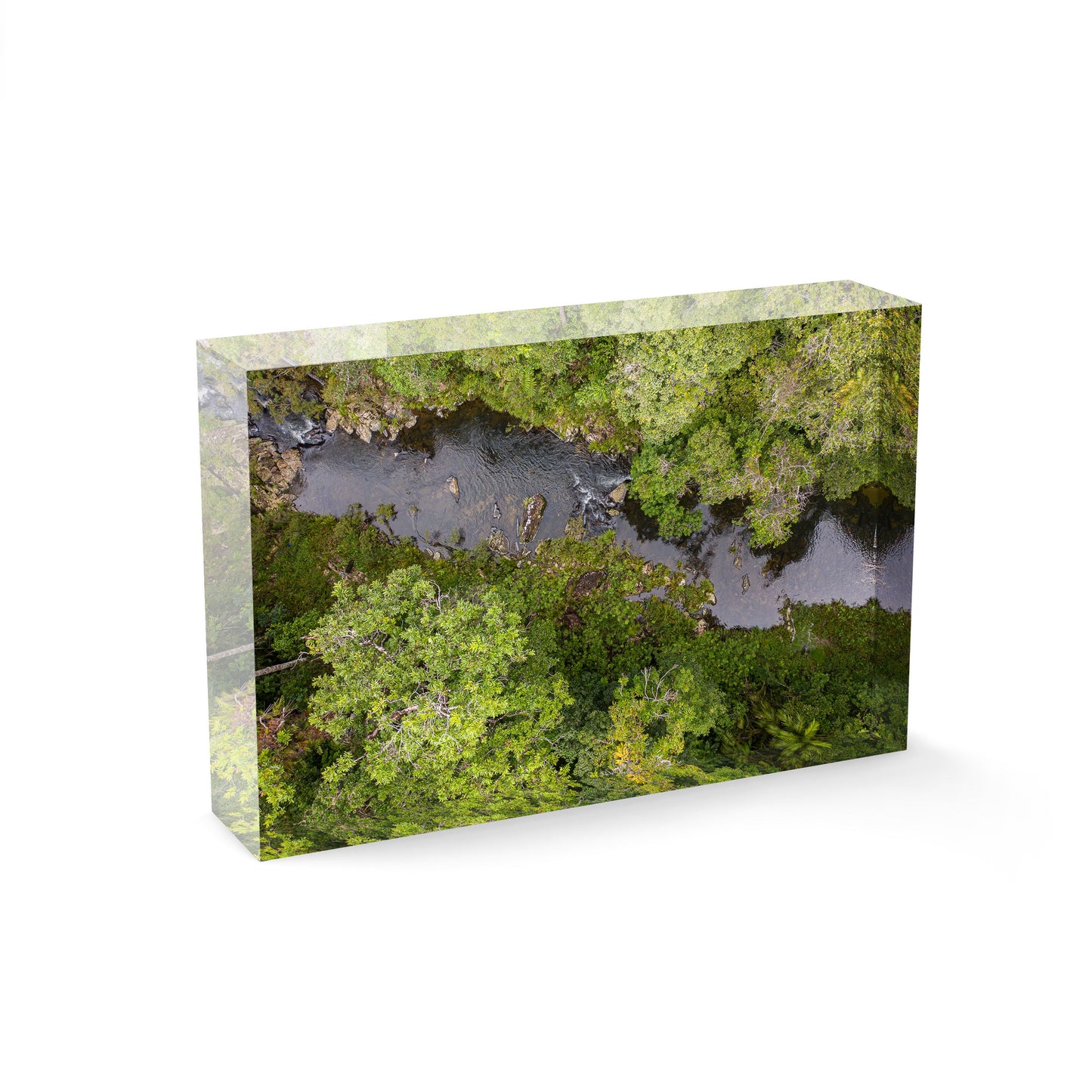 Windin Creek in the Rainforest #1 - Acrylic ICE Block
