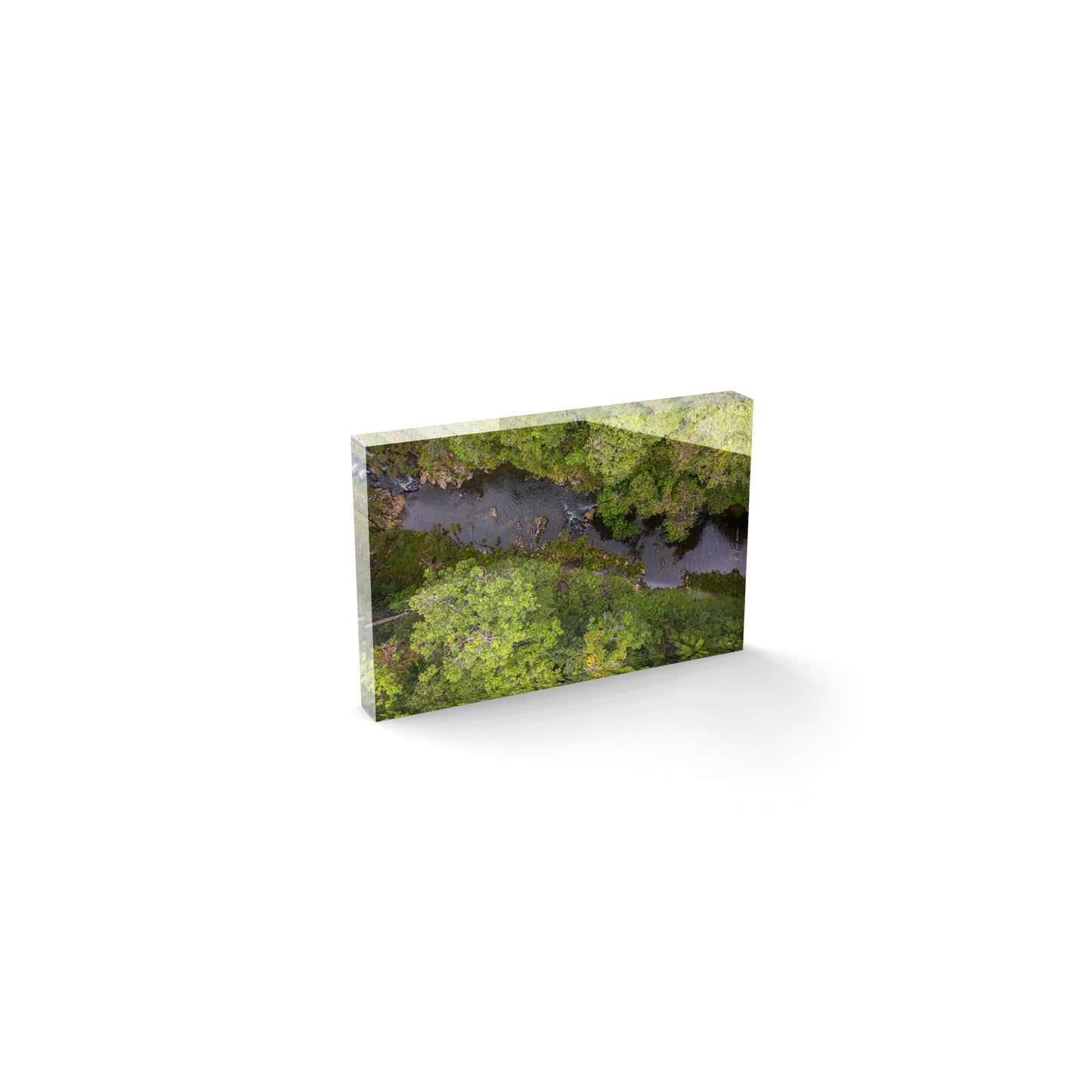 Windin Creek in the Rainforest #1 - Acrylic ICE Block