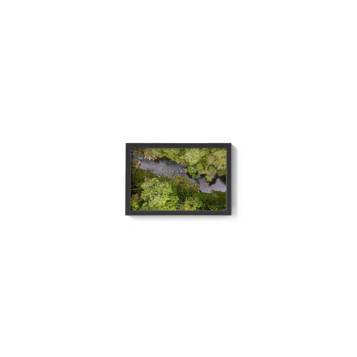 Windin Creek in the Rainforest #1 - Framed Print