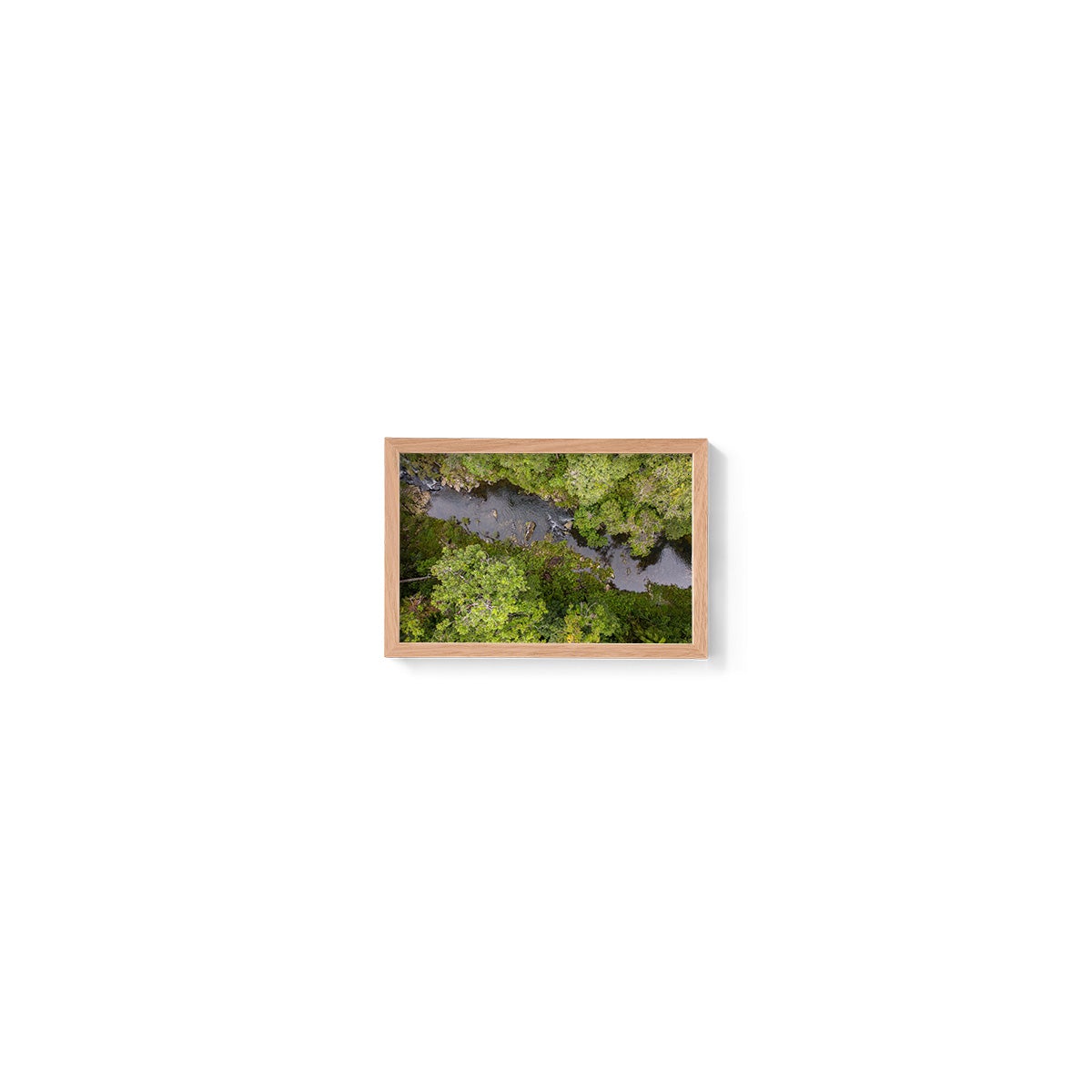 Windin Creek in the Rainforest #1 - Framed Print