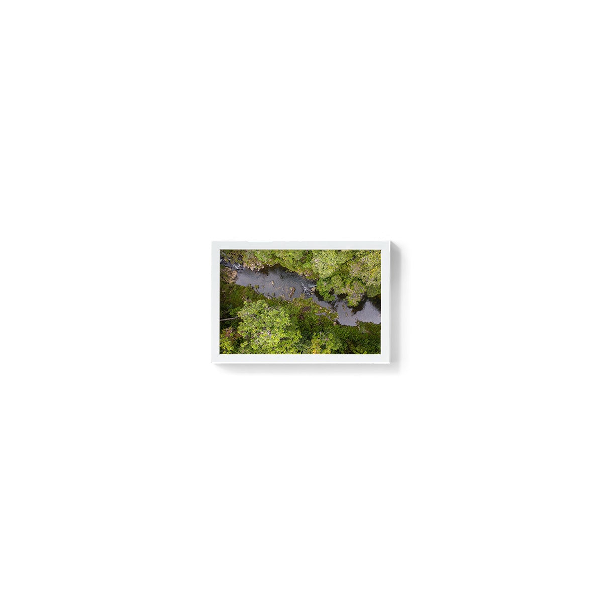 Windin Creek in the Rainforest #1 - Framed Print