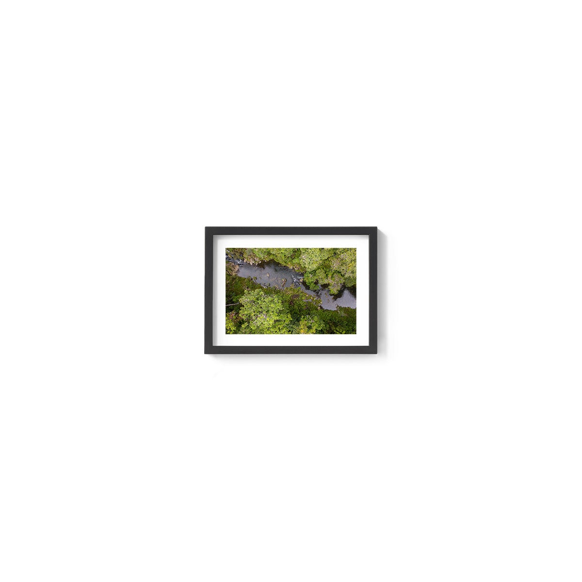Windin Creek in the Rainforest #1 - Framed Print