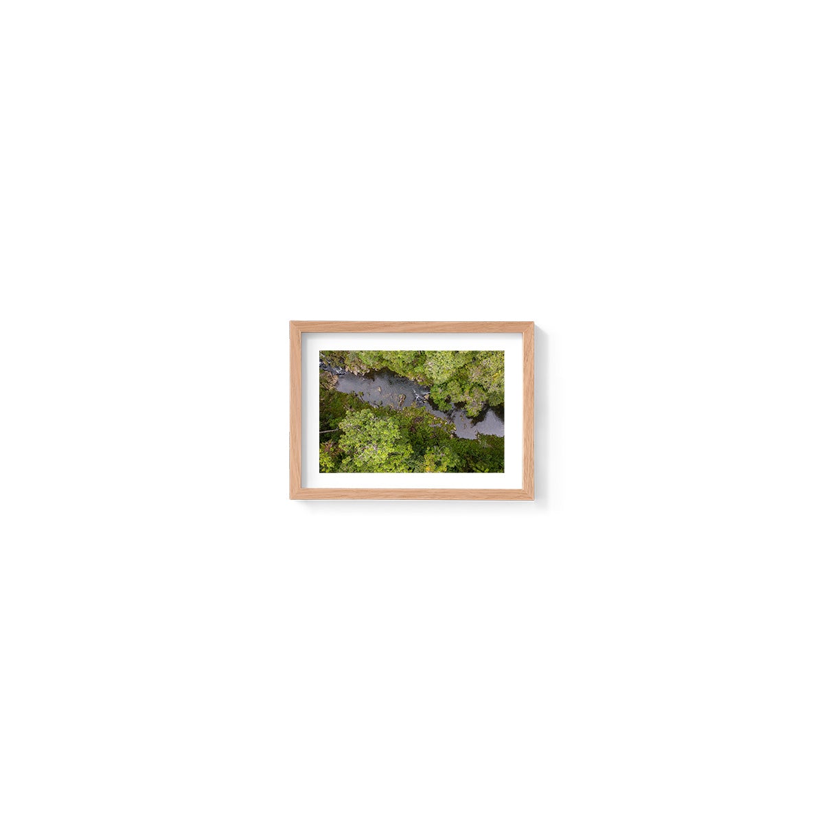 Windin Creek in the Rainforest #1 - Framed Print