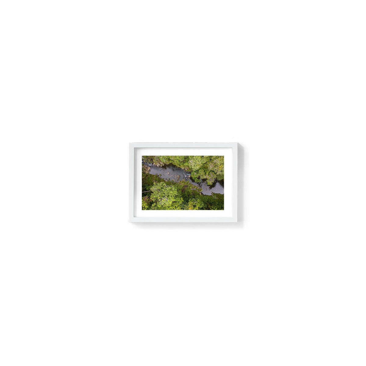 Windin Creek in the Rainforest #1 - Framed Print