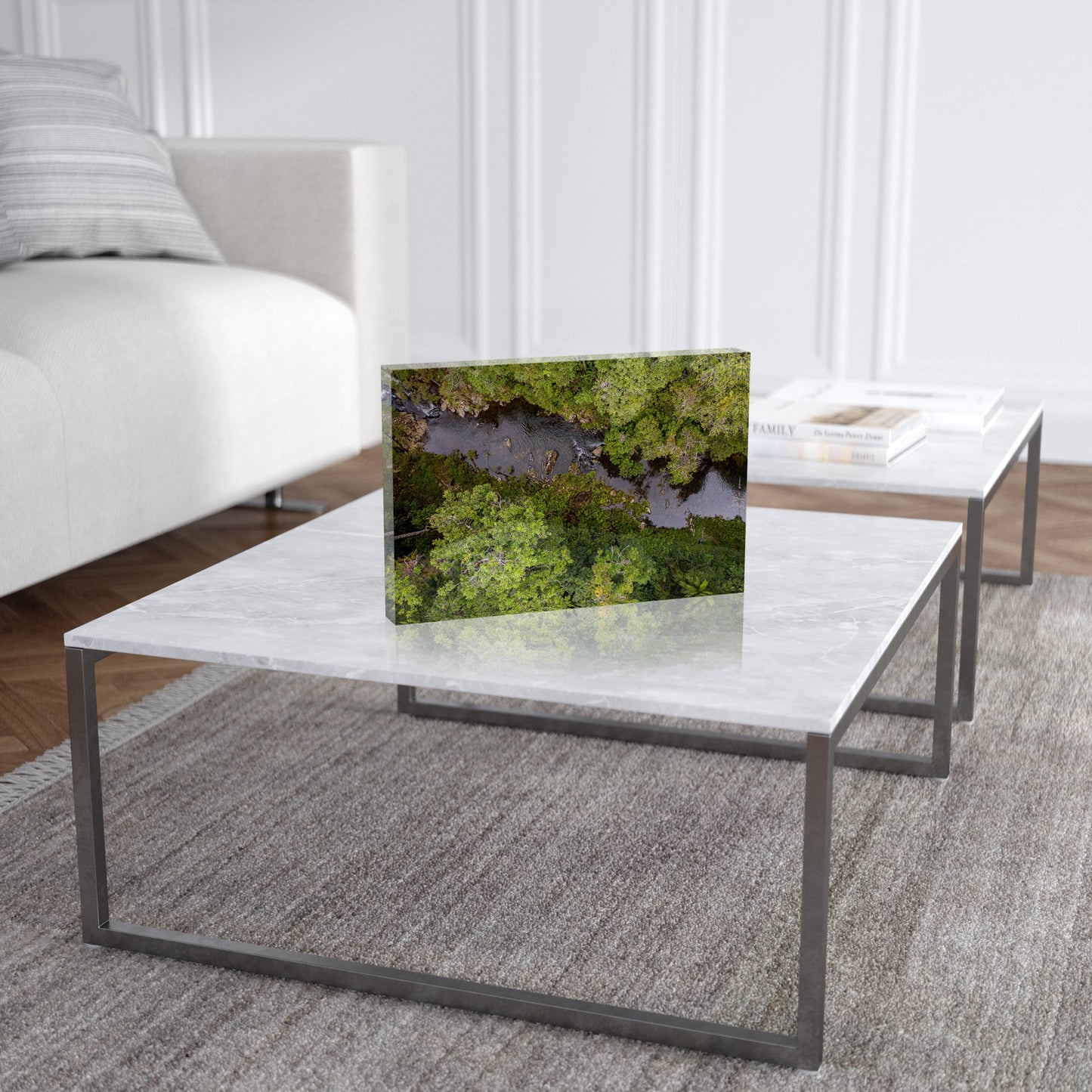 Windin Creek in the Rainforest #1 - Acrylic ICE Block