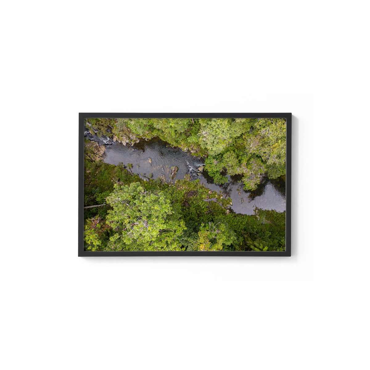 Windin Creek in the Rainforest #1 - Framed Print