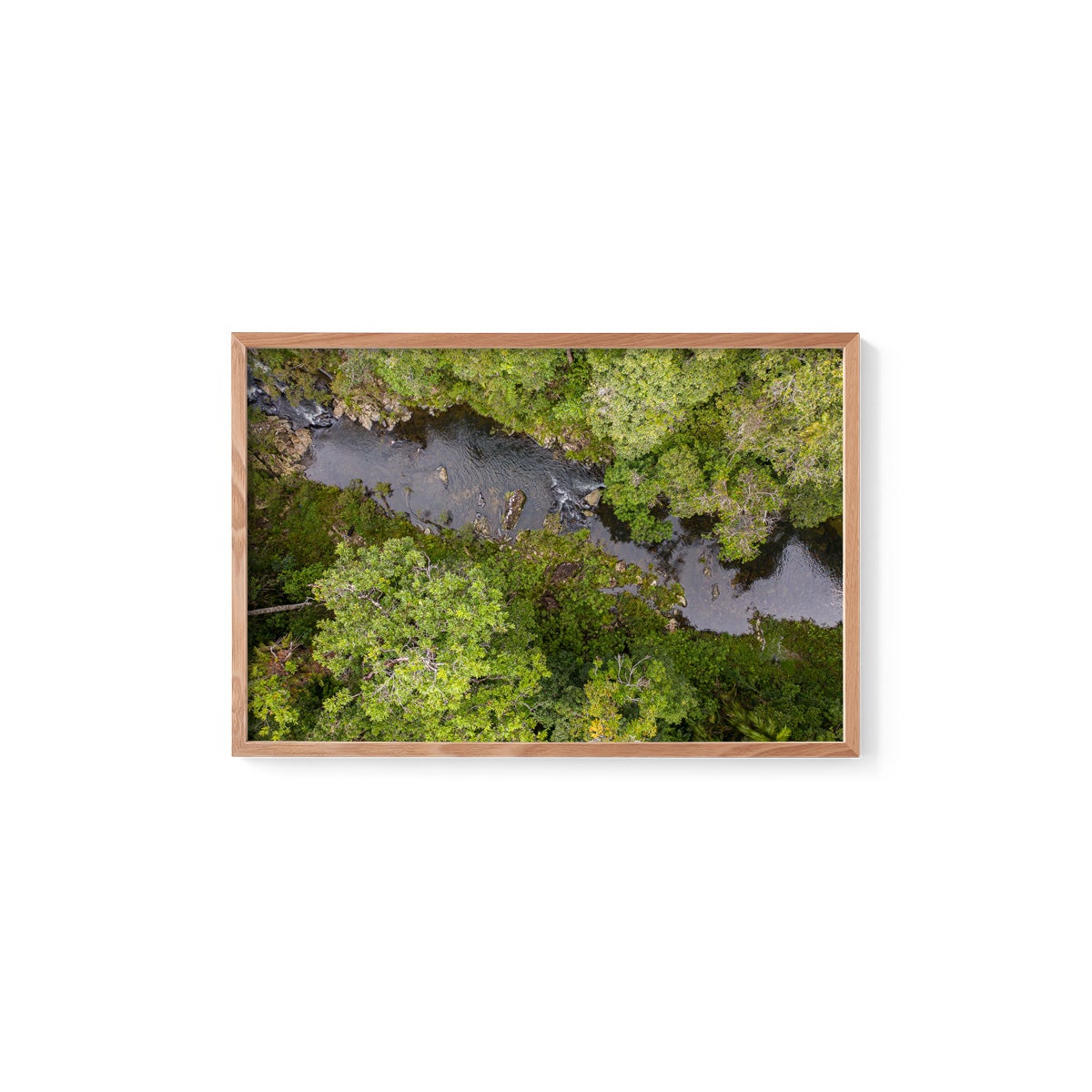 Windin Creek in the Rainforest #1 - Framed Print