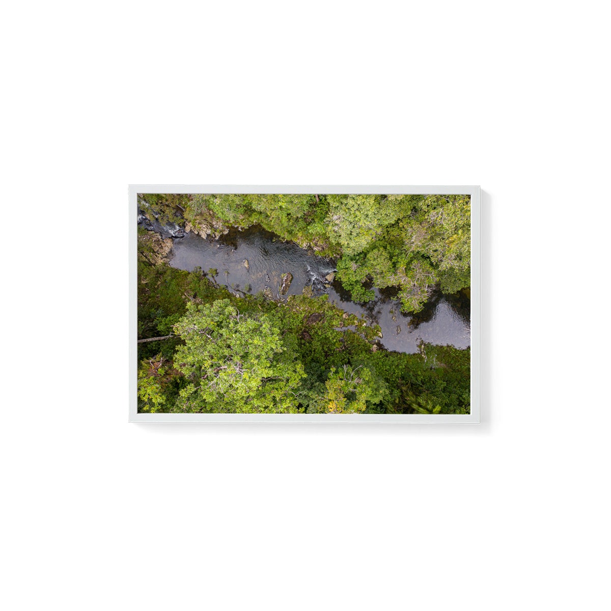 Windin Creek in the Rainforest #1 - Framed Print