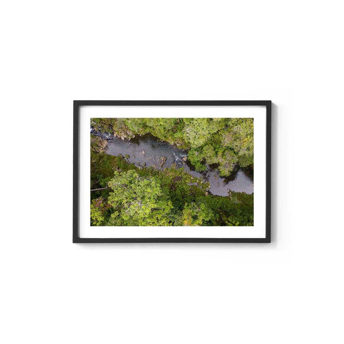 Windin Creek in the Rainforest #1 - Framed Print