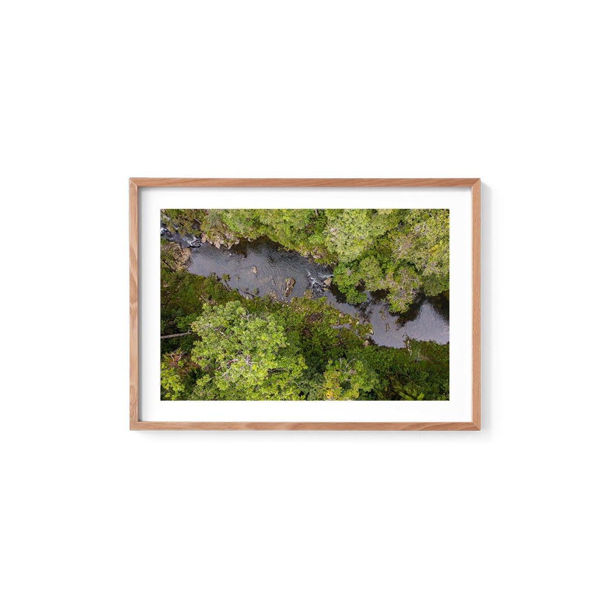 Windin Creek in the Rainforest #1 - Framed Print