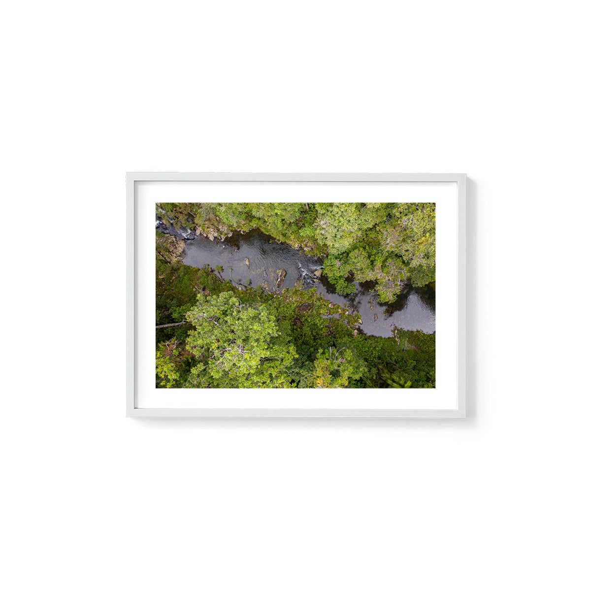 Windin Creek in the Rainforest #1 - Framed Print