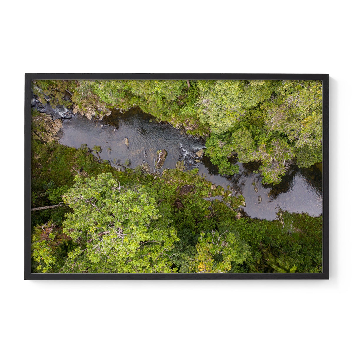 Windin Creek in the Rainforest #1 - Framed Print