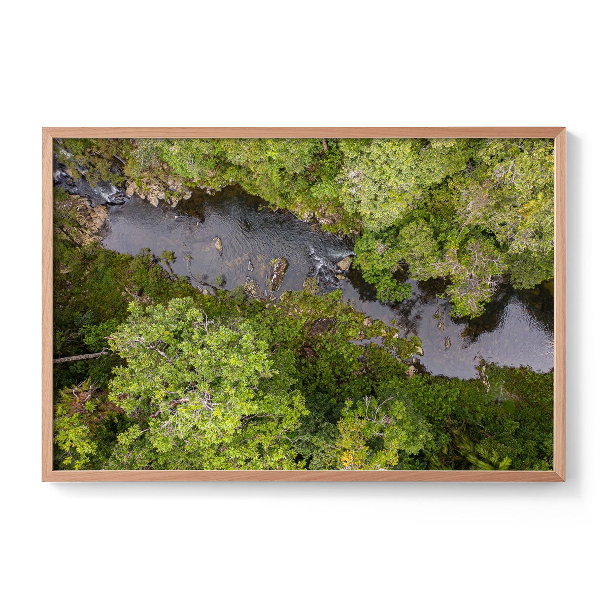 Windin Creek in the Rainforest #1 - Framed Print