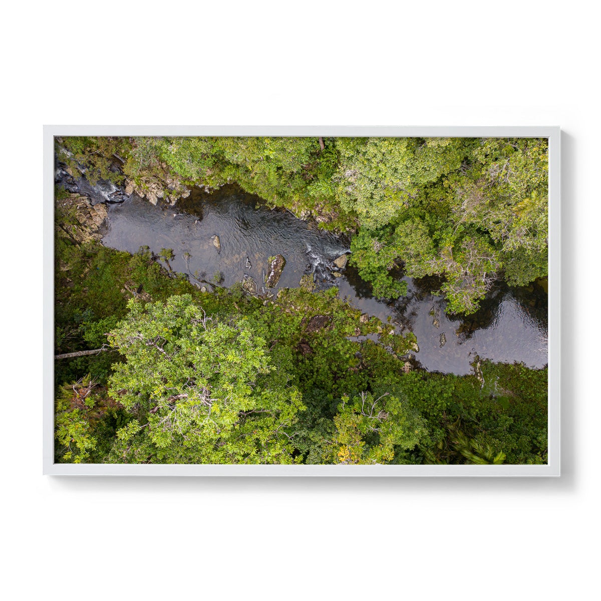 Windin Creek in the Rainforest #1 - Framed Print