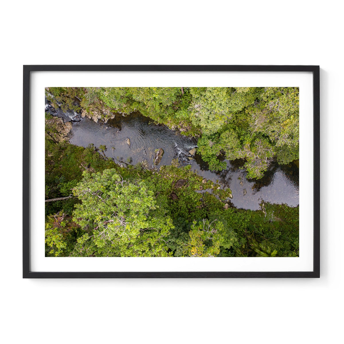 Windin Creek in the Rainforest #1 - Framed Print